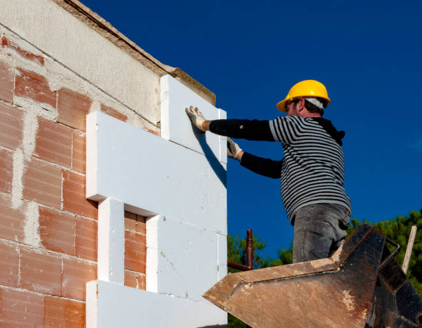 Best Insulation Replacement Services  in Pineville, NC
