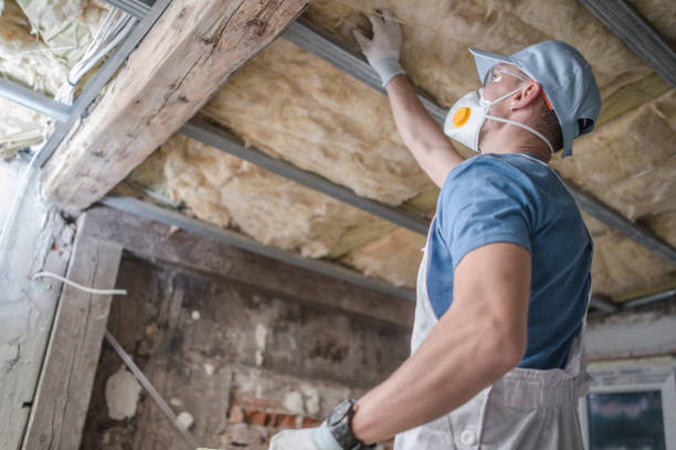 Best Attic Insulation Installation  in Pineville, NC