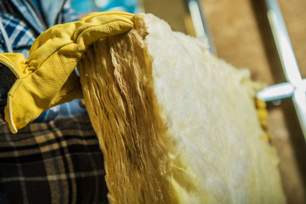 Best Insulation Replacement Services  in Pineville, NC