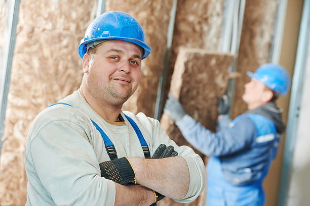 Best Local Insulation Services  in Pineville, NC