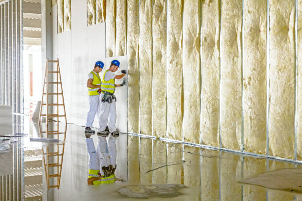 Best Best Insulation Companies  in Pineville, NC